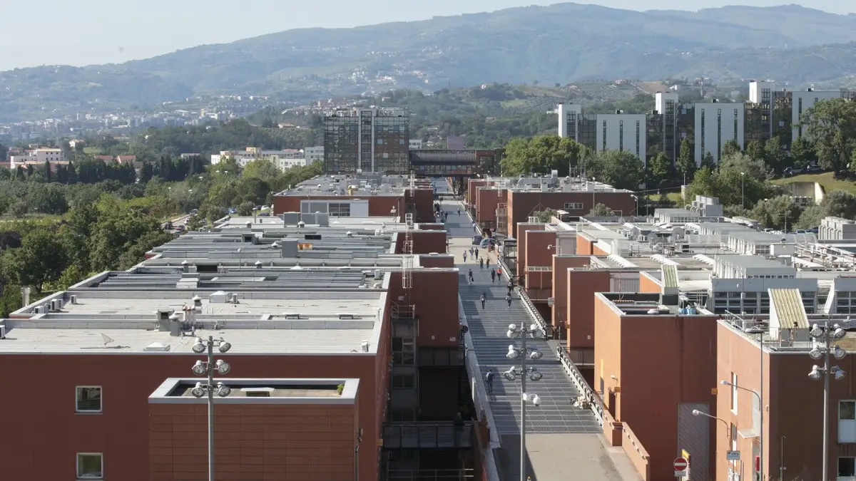 ponte nord-sud