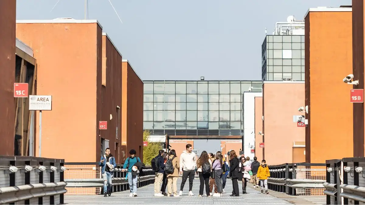 studenti ponte generica altezza cubo 15